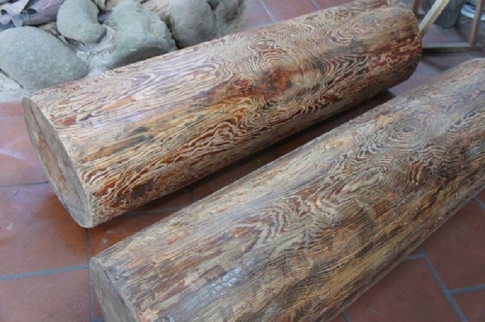 gỗ thủy tùng là gì